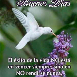 Meet your Posher, Brisa